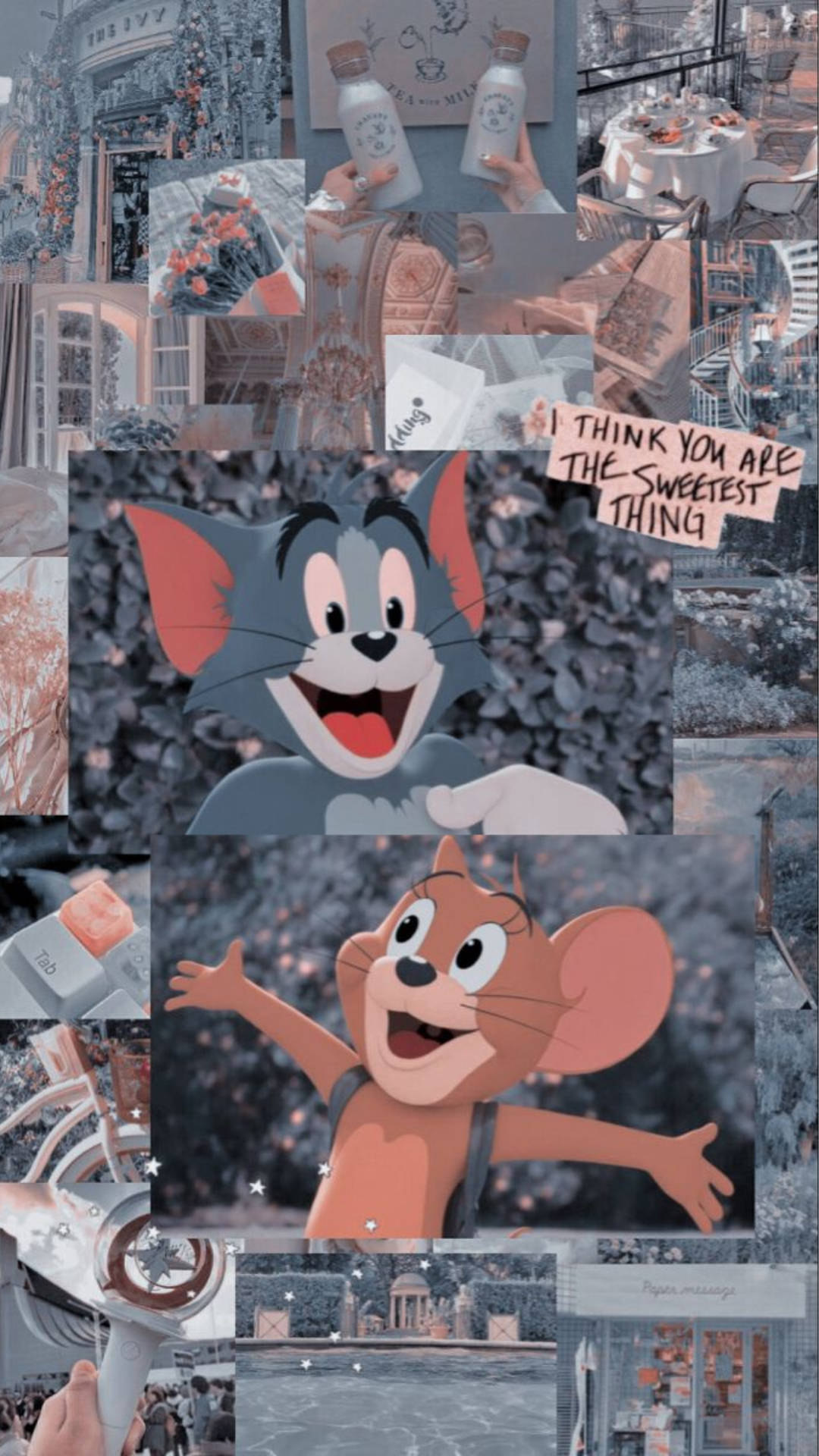 Tom And Jerry Aesthetic Wallpaper