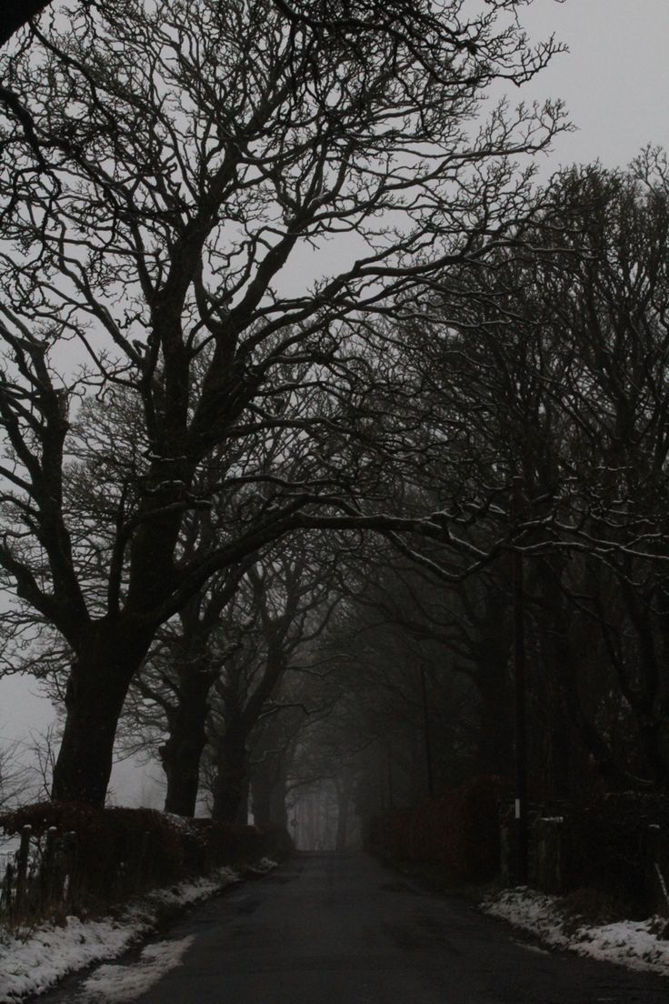 dark winter grunge landscape image. Winter grunge, Dark winter, Winter background