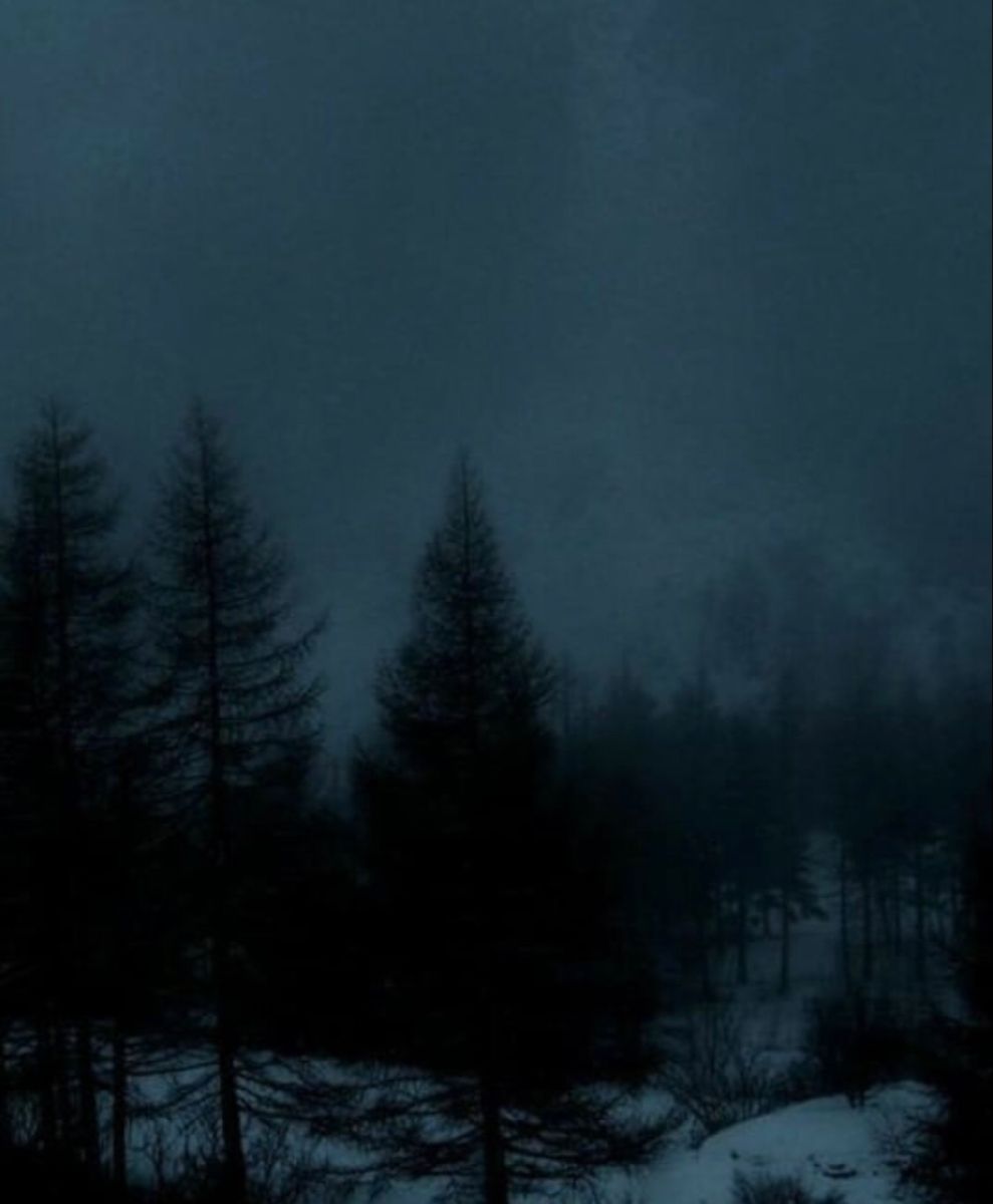 Winter. Beautiful winter picture, Winter wallpaper, Winter picture