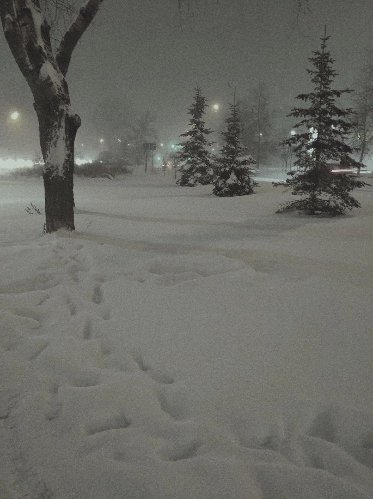 Snow Dream Core. Winter snow wallpaper, Winter scenery, Winter picture