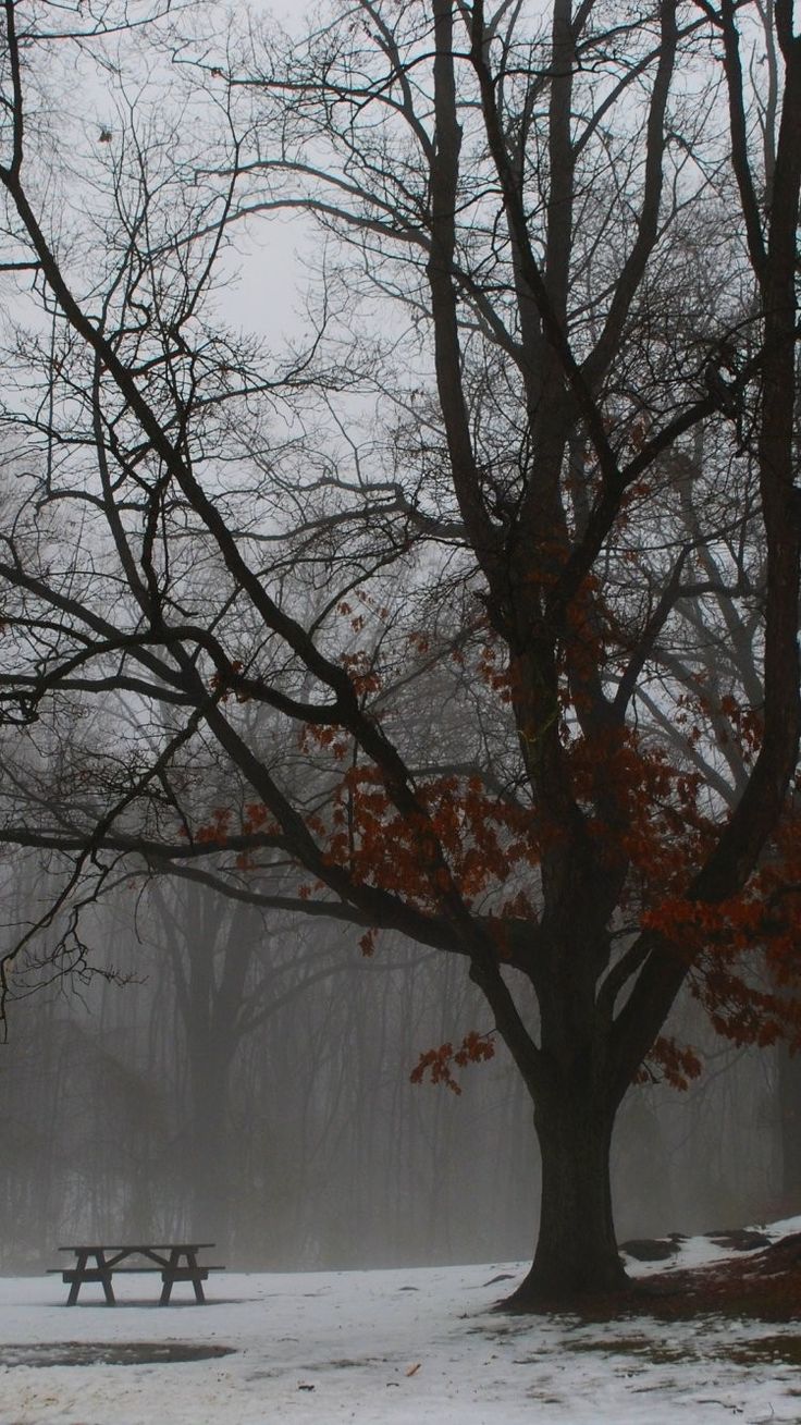 the emotional state of nature iPhone 6 wallpaper of Nature iPhone 6 Wal. Nature iphone wallpaper, Cellphone wallpaper background, Space iphone wallpaper