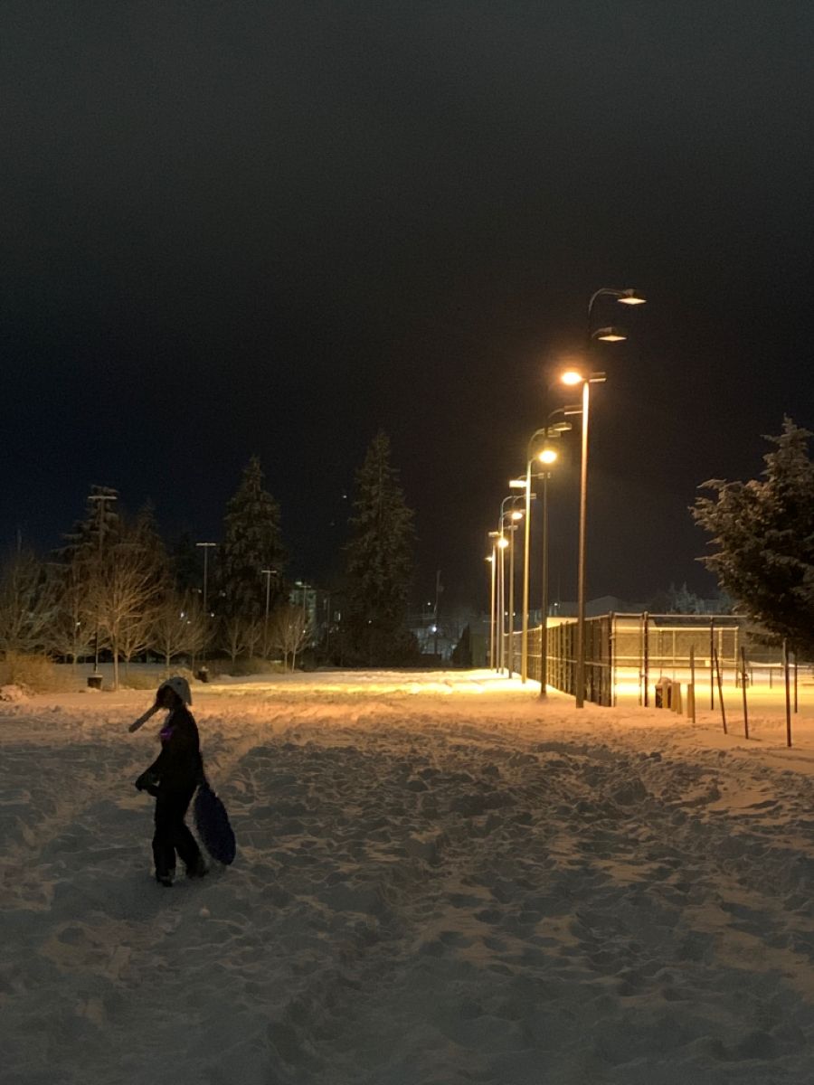 snowy walk. Winter grunge, Night aesthetic, Winter aesthetic