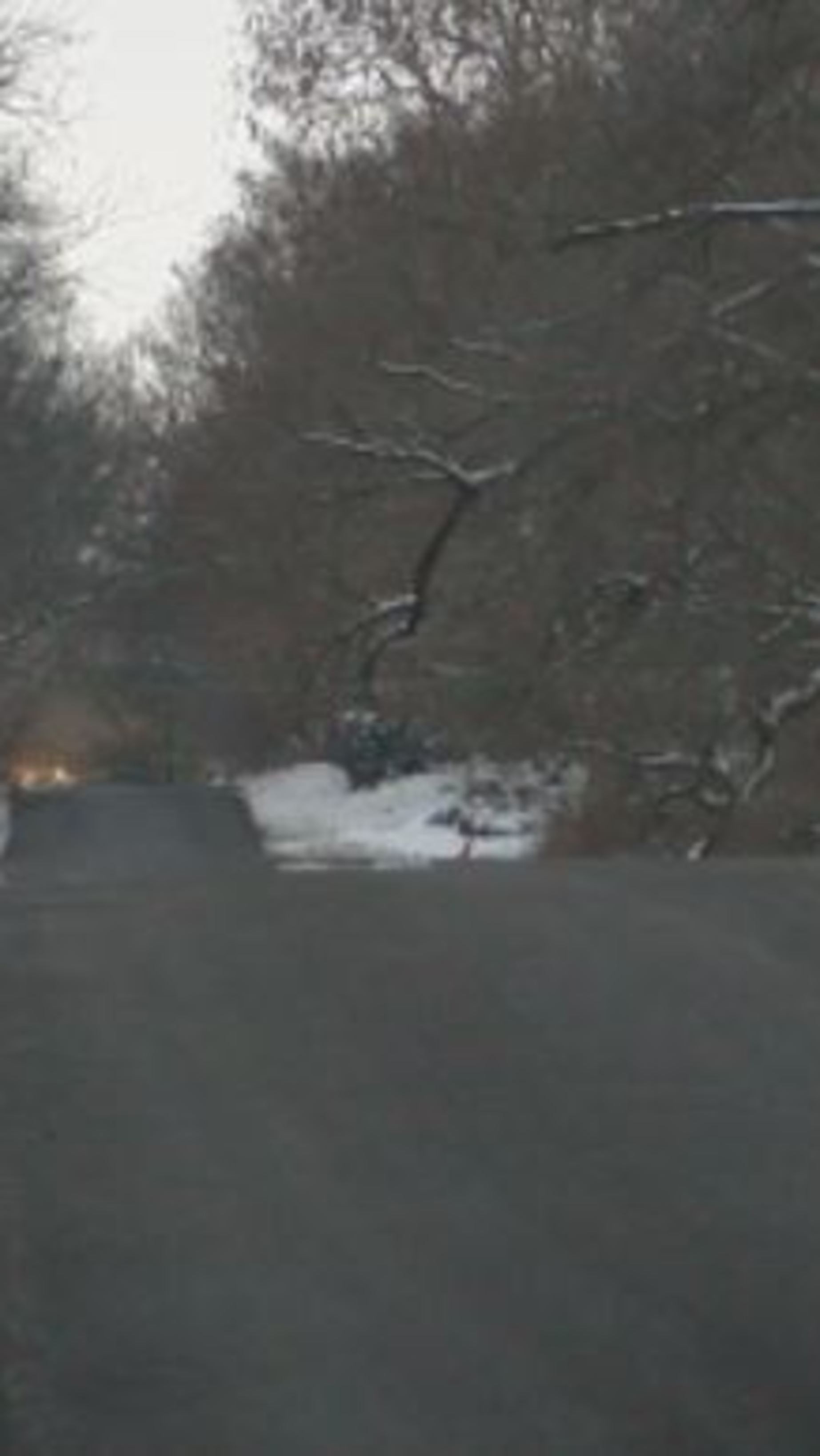 Driving with snow and ice on your vehicle is illegal and dangerous