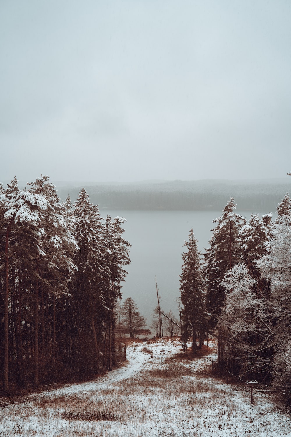 A snow covered field with trees and a body of water in the distance photo