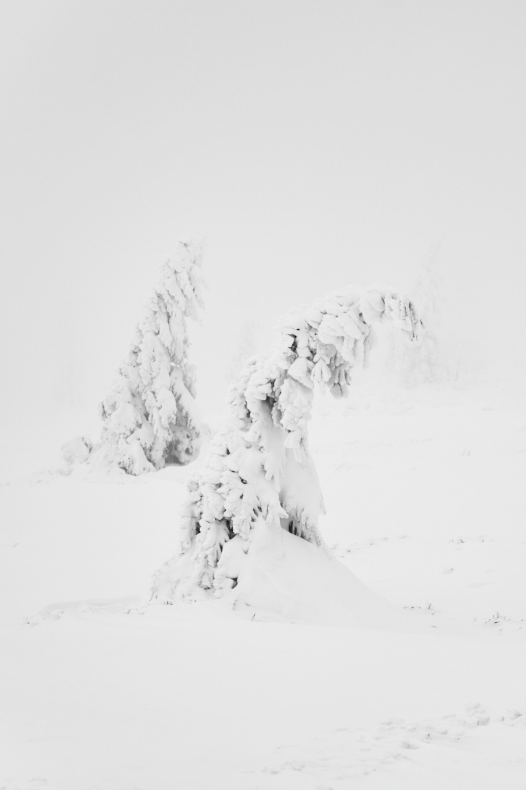 Winter White Snow Aesthetic Ultra HD Desktop Background Wallpaper for 4K UHD TV, Widescreen & UltraWide Desktop & Laptop, Multi Display, Dual Monitor, Tablet