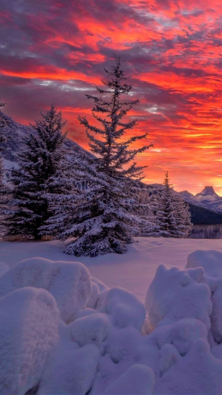 Winter. Winter wallpaper, Pretty landscapes, Winter landscape
