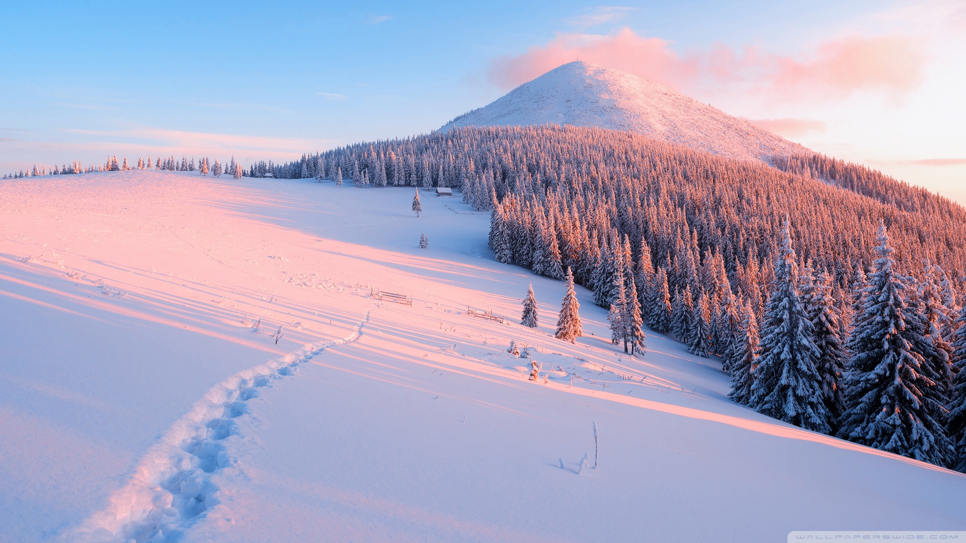 Winter, Nature Ultra HD Desktop Background Wallpaper for: Widescreen & UltraWide Desktop & Laptop, Multi Display, Dual Monitor, Tablet