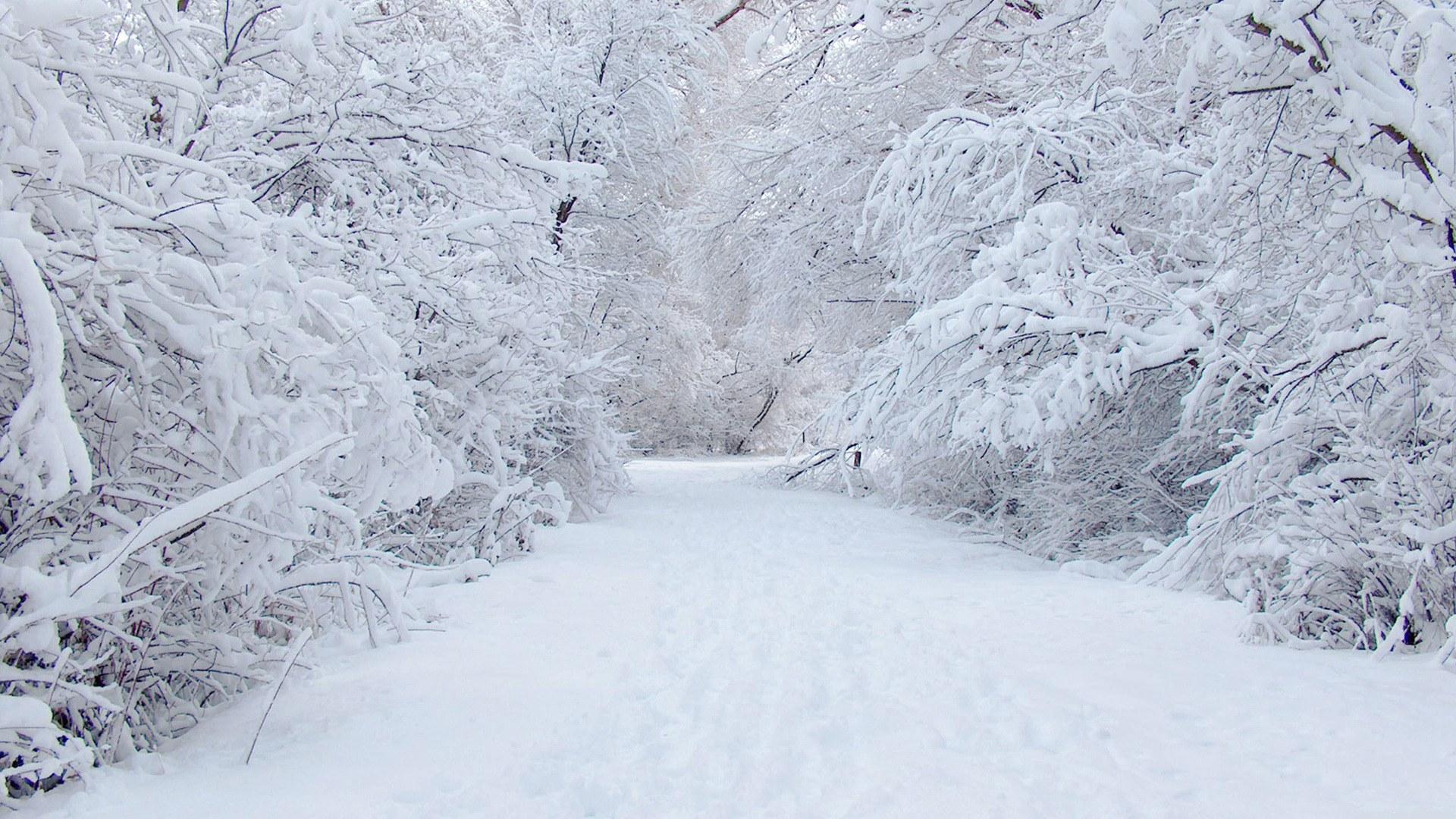 Photos Winter Nature Seasons 1920x1080