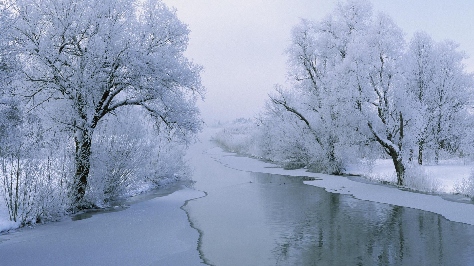 Picture Winter Nature Seasons 1920x1080