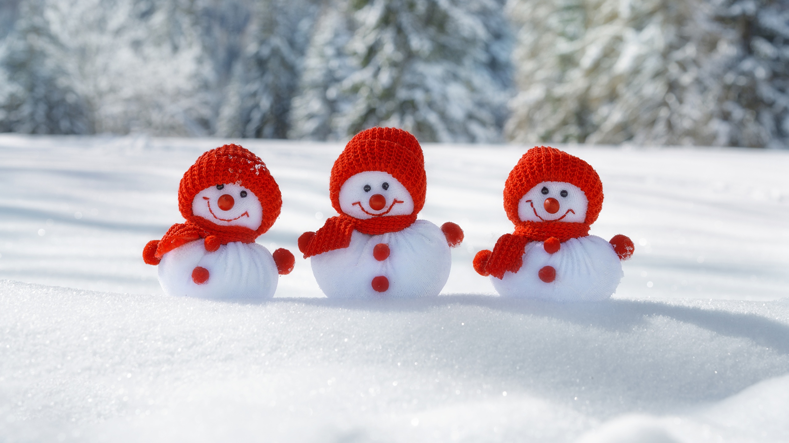 Picture Christmas Winter hat Snow Snowmen Three 3 2560x1440