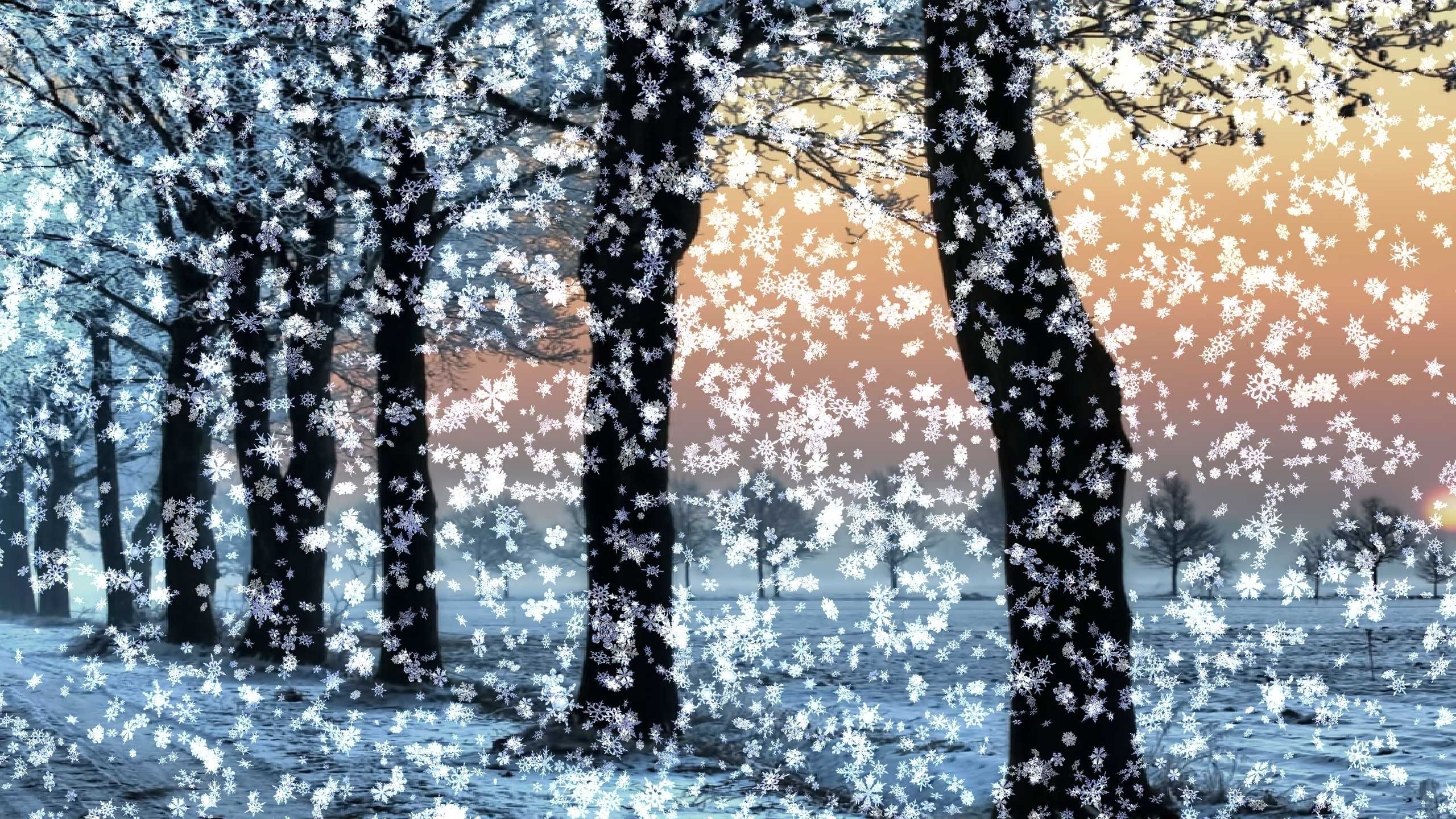 Elegant Winter Live Wallpaper. Winter desktop background, Free winter wallpaper, Winter wallpaper