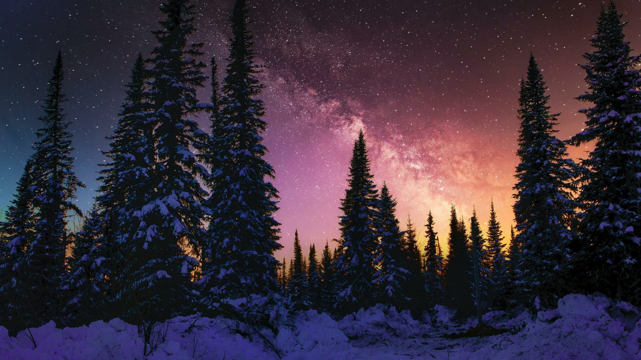 Download wallpaper 2560x1440 winter, beautiful night, forest, galaxy, nature, dual wide 16:9 2560x1440 HD background, 28249