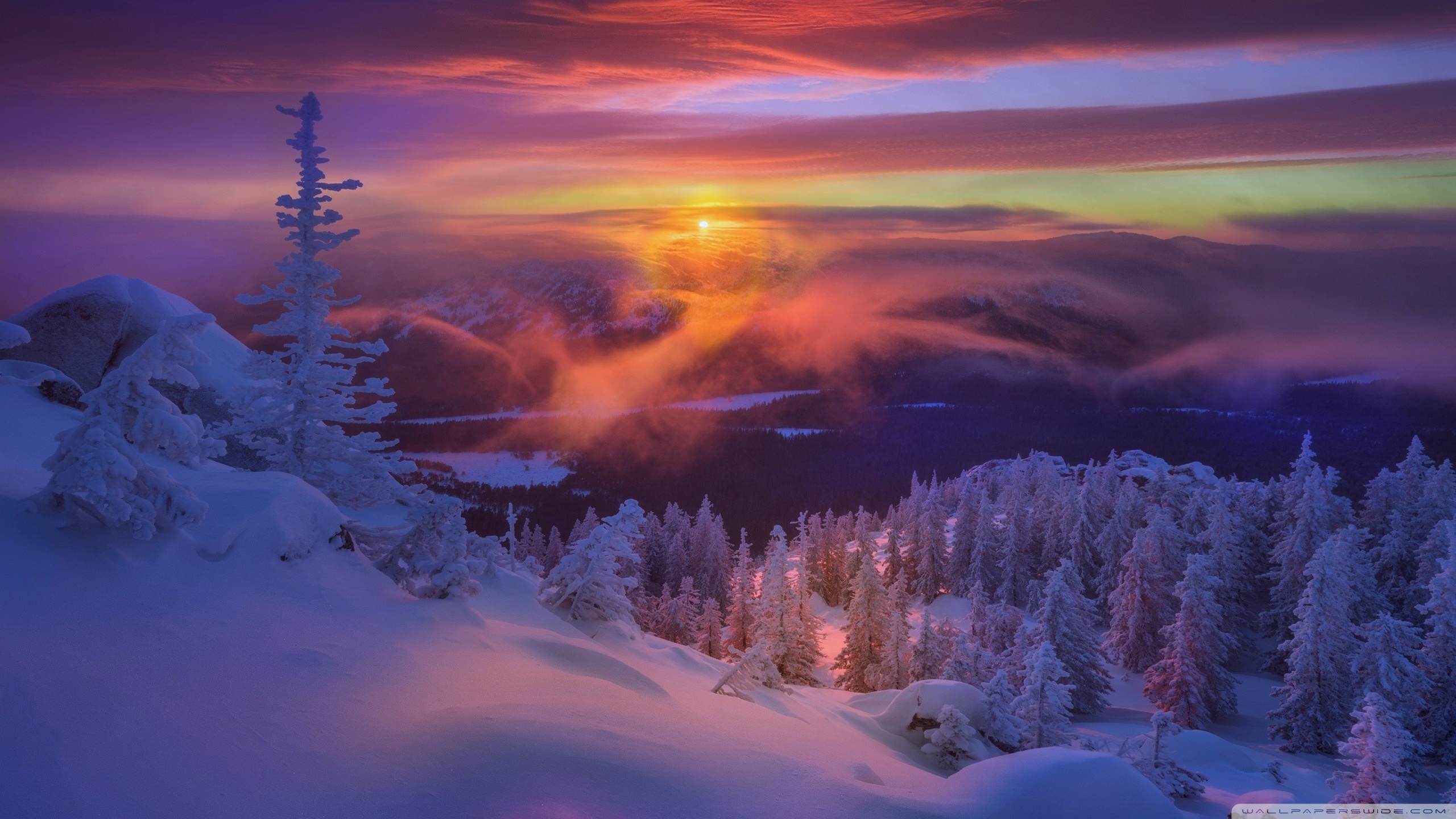 Frozen Winter Landscape Ultra HD Desktop Background Wallpaper for 4K UHD TV, Widescreen & UltraWide Desktop & Laptop, Multi Display, Dual Monitor, Tablet