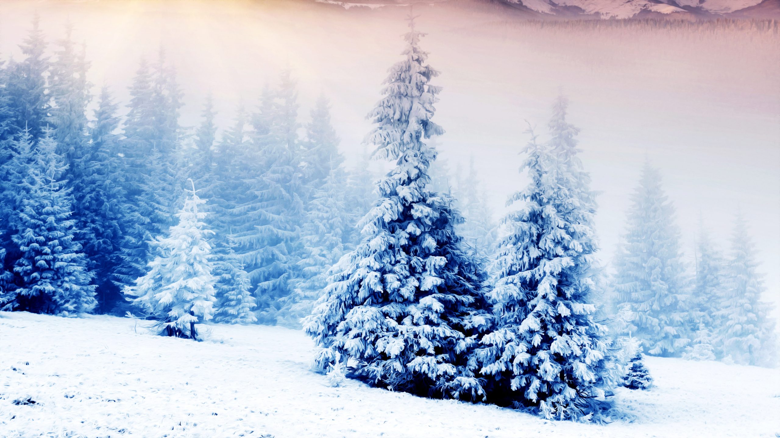 Trees Snow Winter Blue White 8K Wallpaper