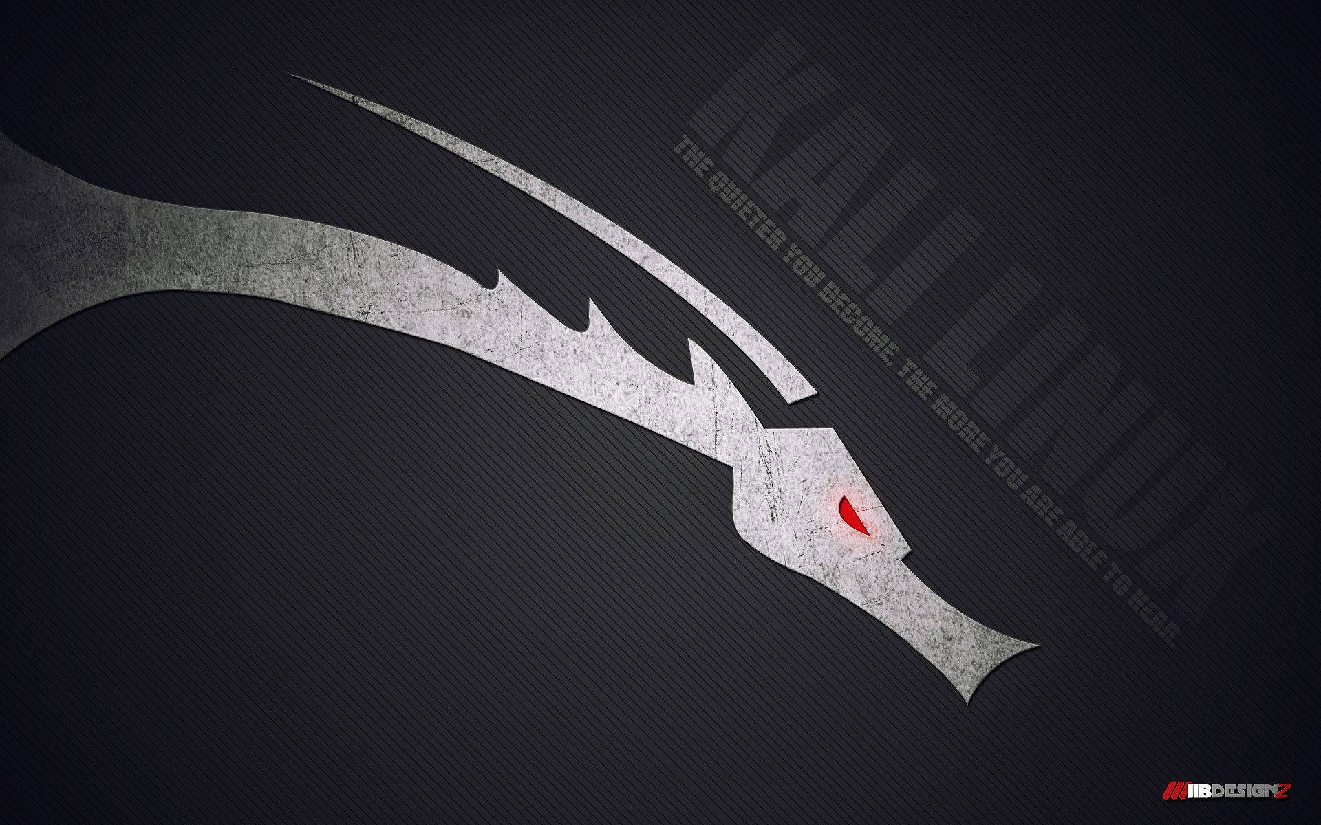 Kali Linux Wallpaper