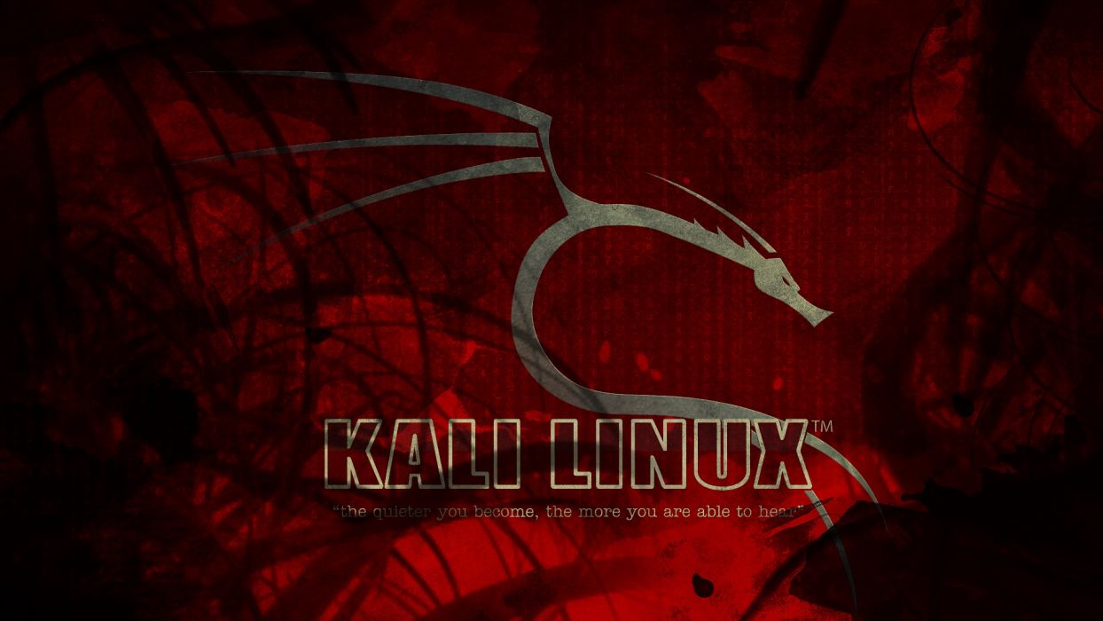 Kali wallpaper 1920x1080 logo wallpaperx1080