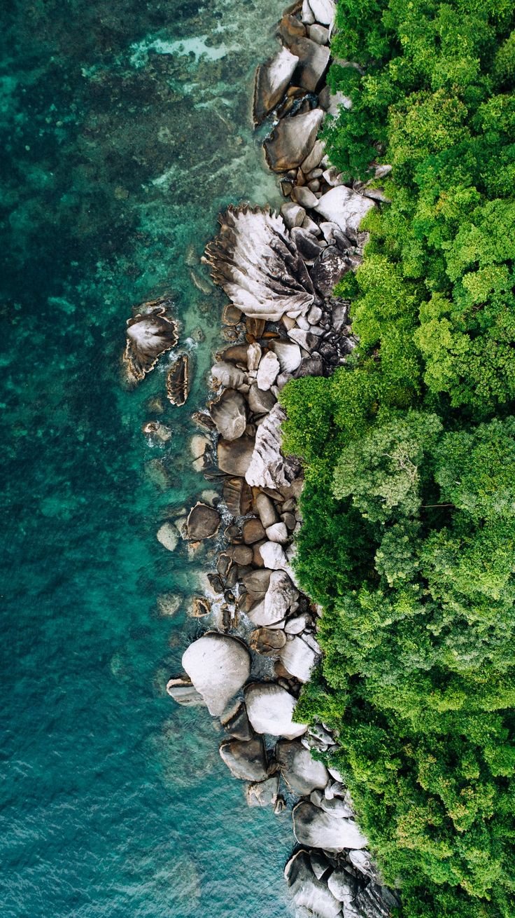 Beautiful beach, Pulau Tioman, Malaysia found. Nature iphone wallpaper, Best nature wallpaper, Cool background for iphone