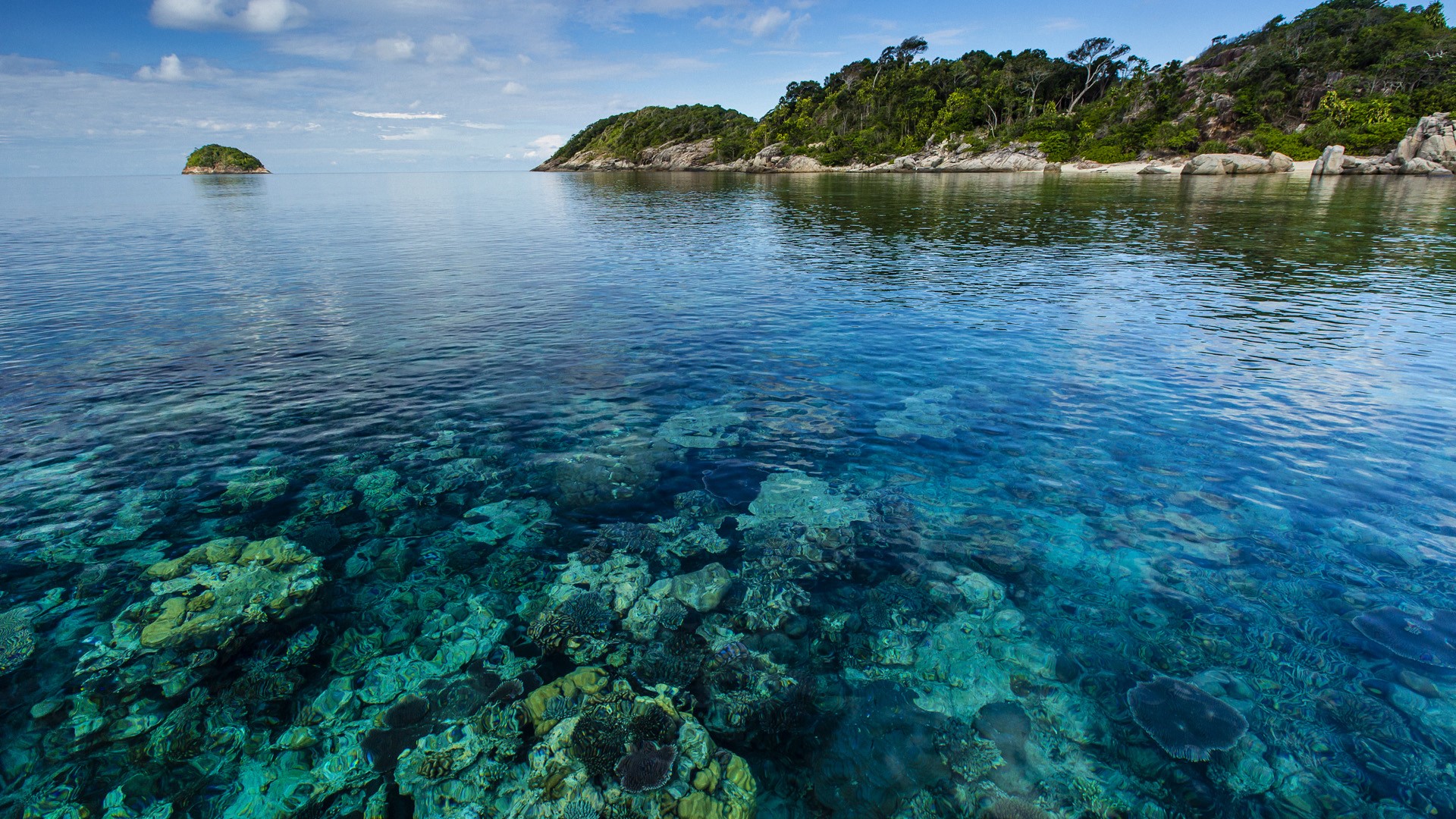 Seascape of coral surrounding a tropical island, Pulau Lintang, Anambas Archipelago, Indonesia. Windows Spotlight Image