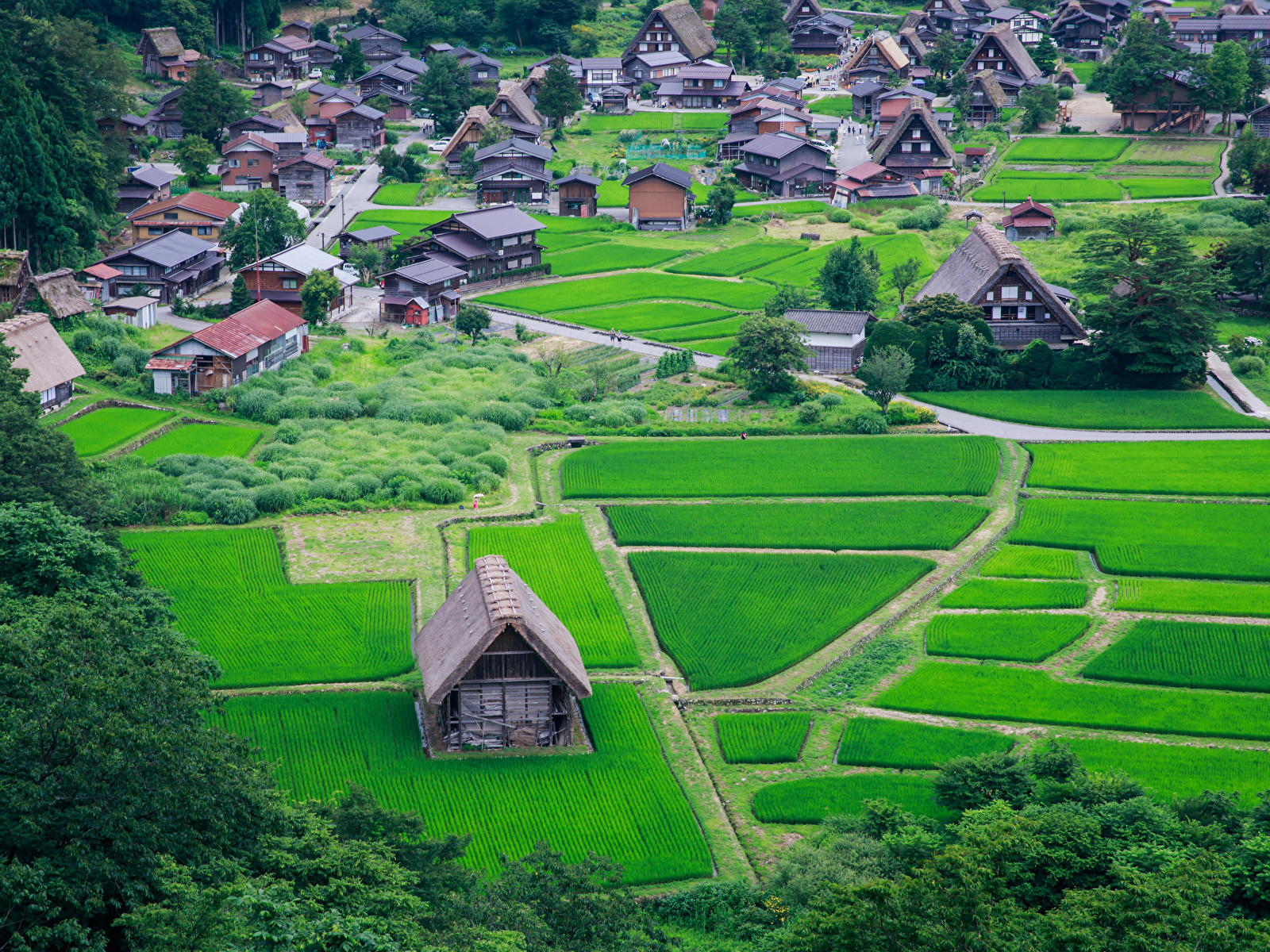 Picture Japan Nagoya Fields Cities Building 1600x1200