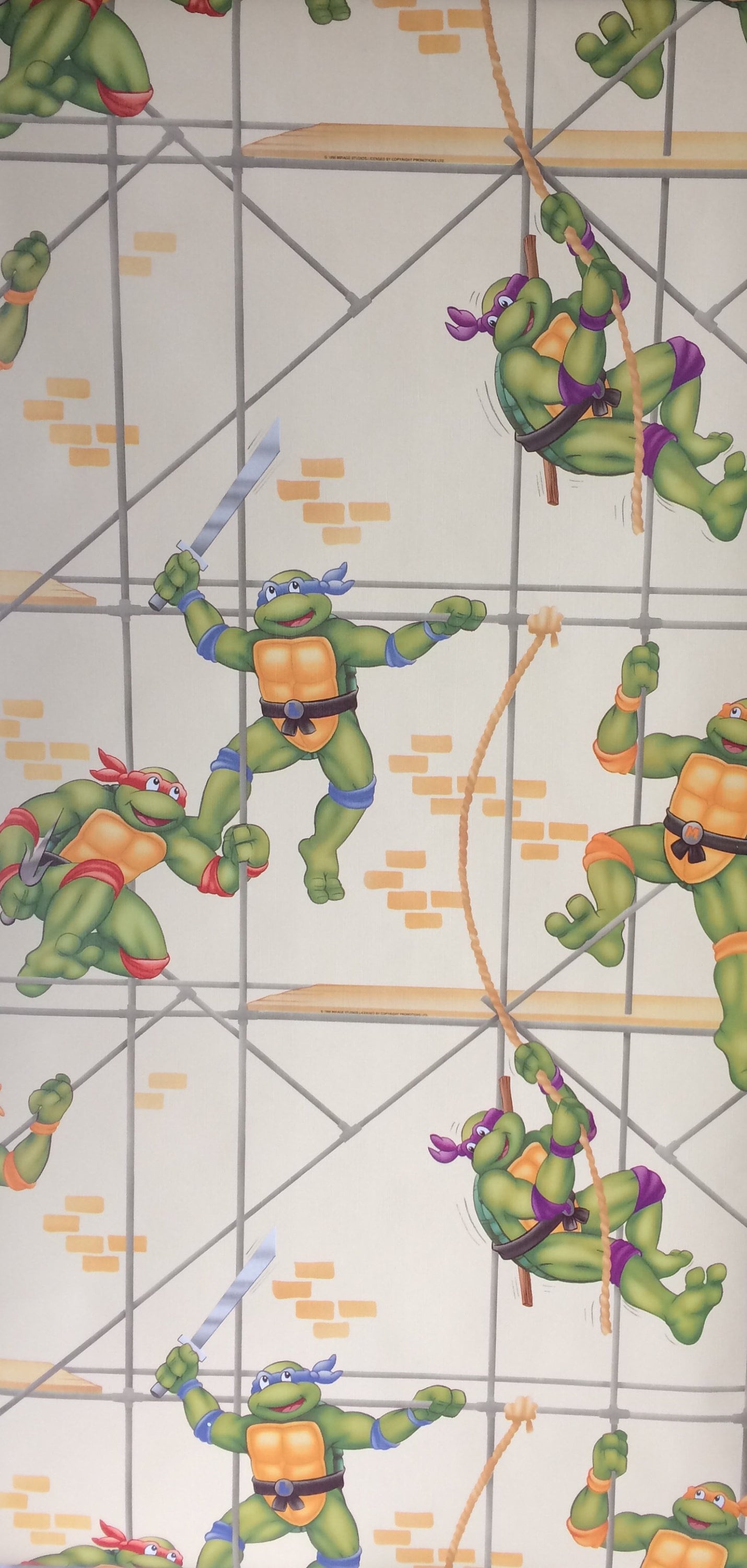 Teenage Mutant Hero / Ninja Turtles Wallpaper Rare