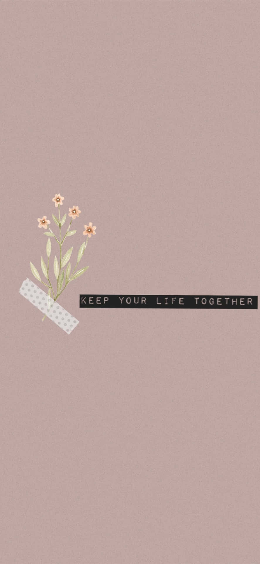 minimalism with an iPhone Wallpaper