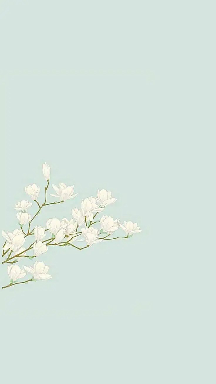 Free Aesthetic Wallpaper Ideas For IPhone