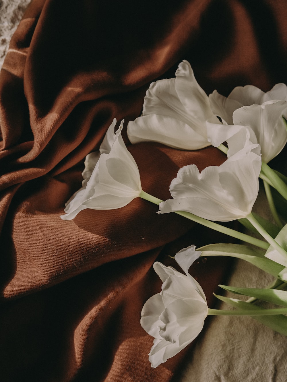 Brown Aesthetic Picture. Download Free Image