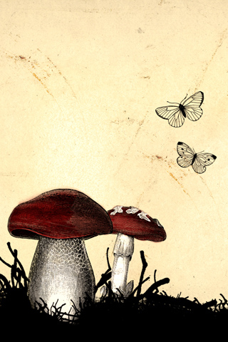 Download Free 100 + iphone mushroom wallpaper