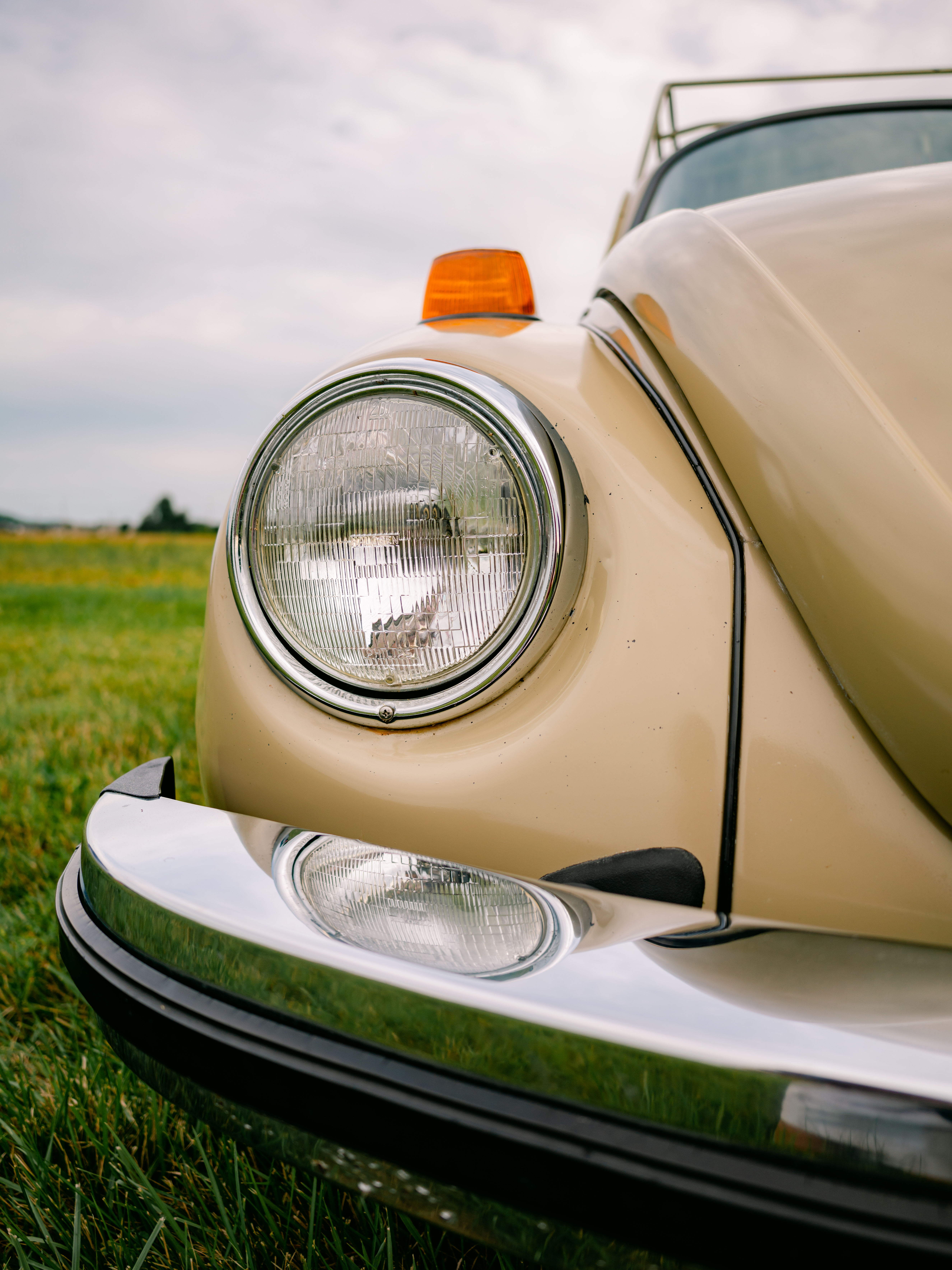 Vintage Volkswagen Car Show