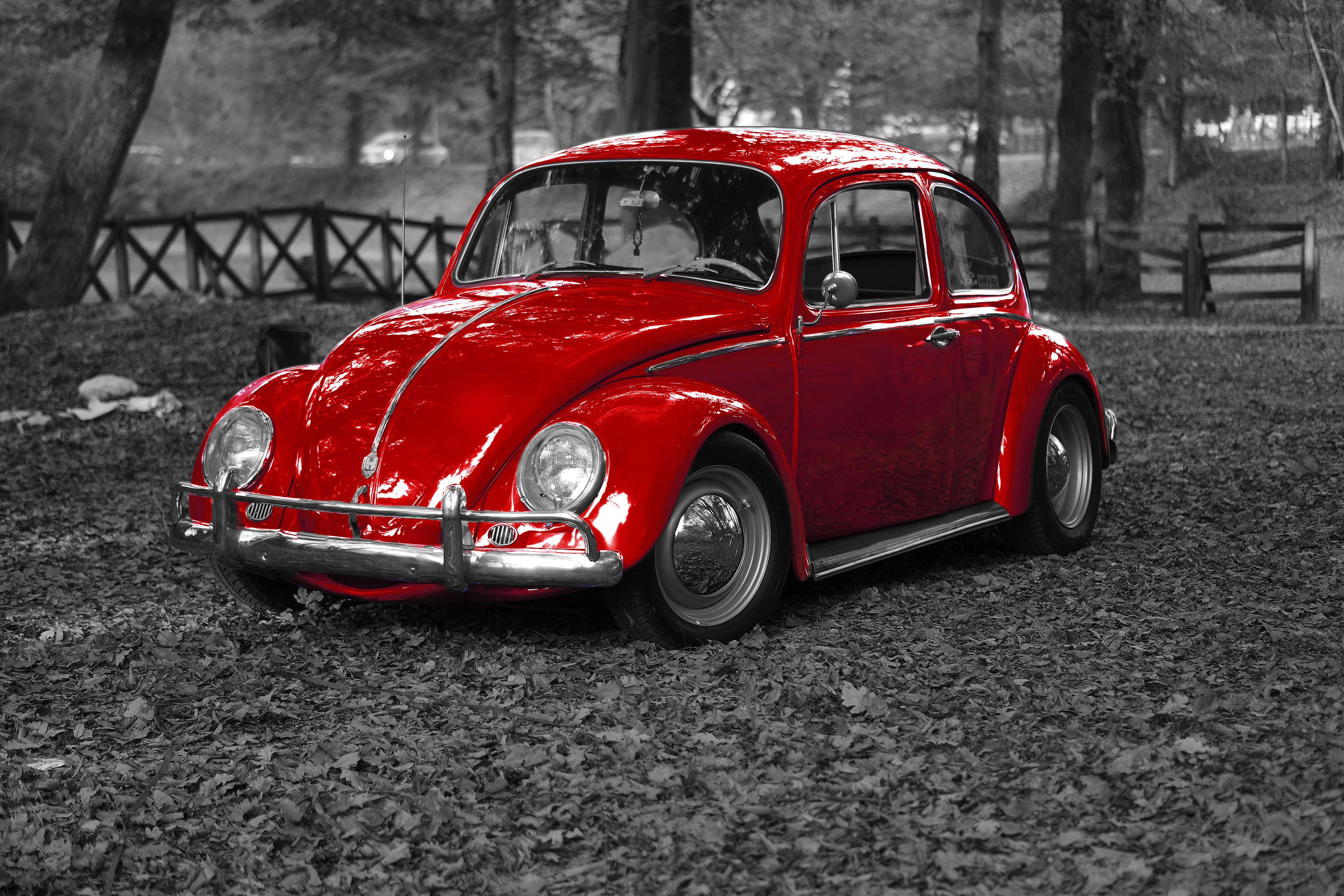 Free Image, vintage, wheel, retro, vw, old, transportation, red, drive, bug, motor vehicle, antique car, city car, land vehicle, volkswagen beetle, automobile make, compact car, automotive design, mid size car, subcompact