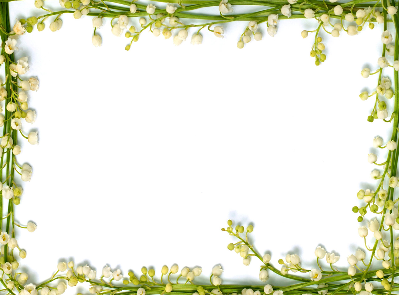 Floral Frame Background Wallpaper 14313