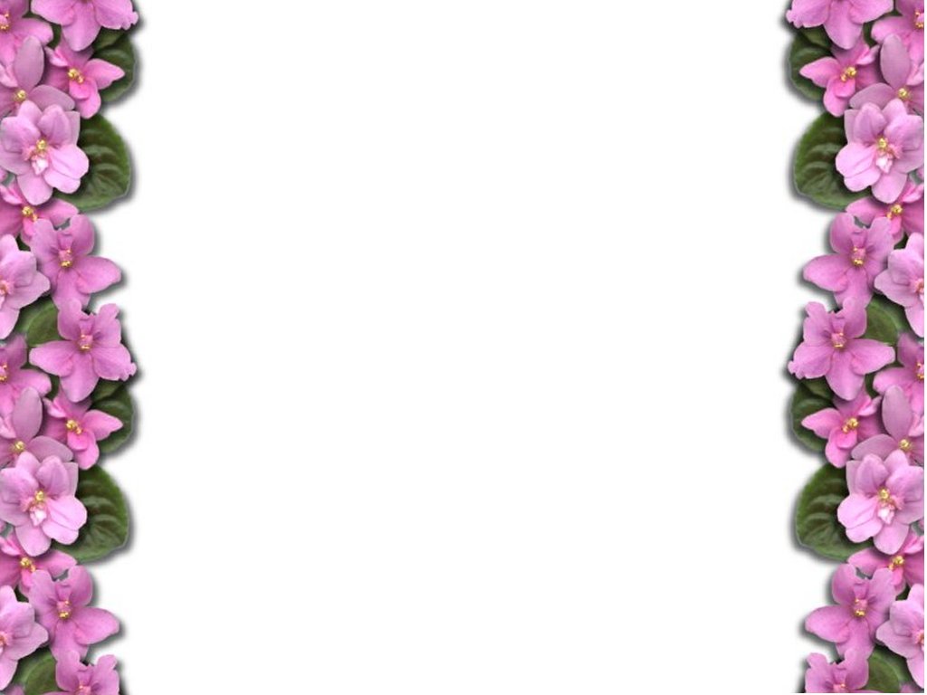 flower wallpaper border
