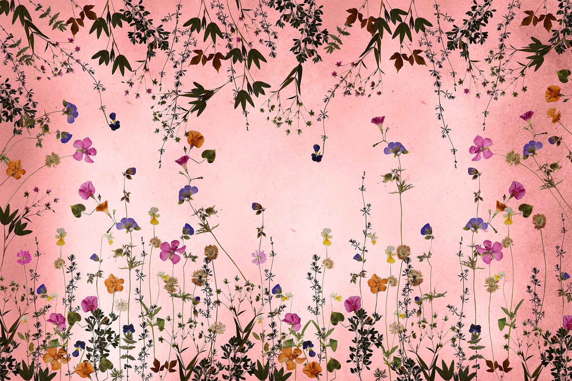 Floral Wallpaper. Flower Wallpaper. Cara Saven Wall Design