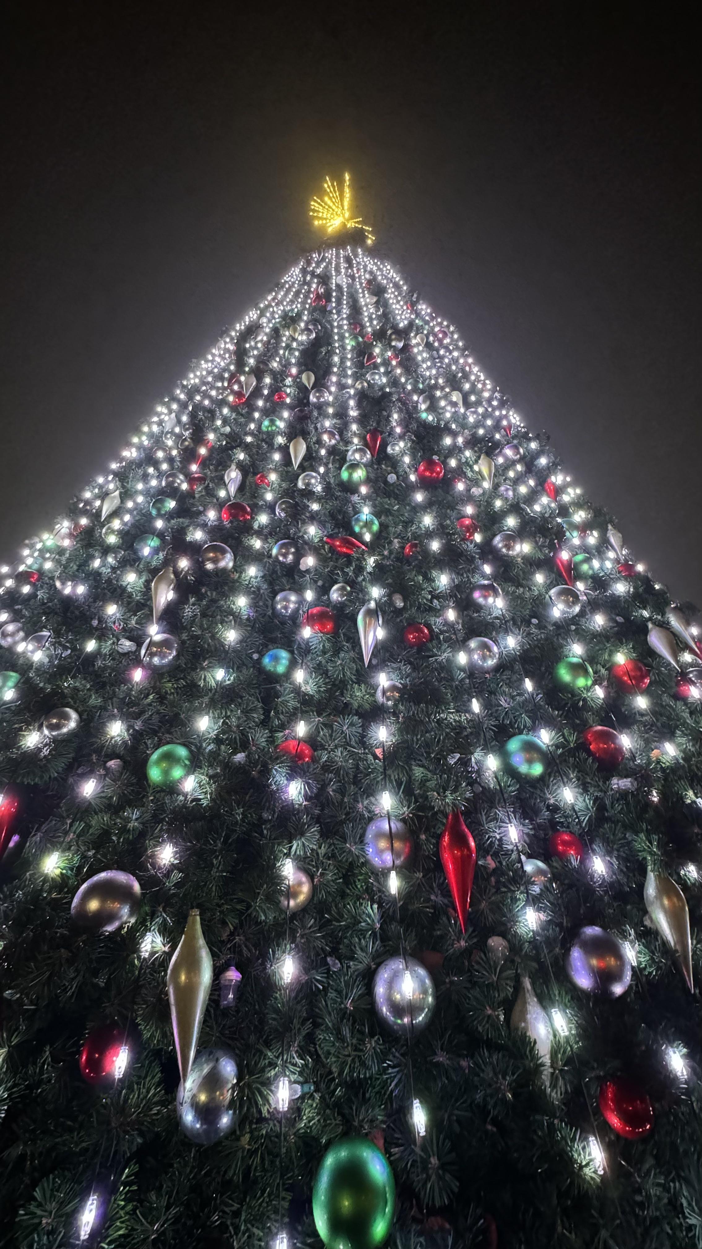 A Photo I took on my iPhone 15 Pro Max I think this could be a great wallpaper (no edit straight from lens)