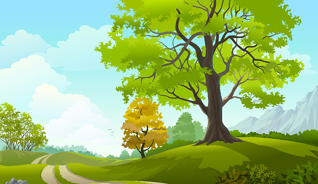 Desktop Wallpaper Nature Trees Vector Graphics