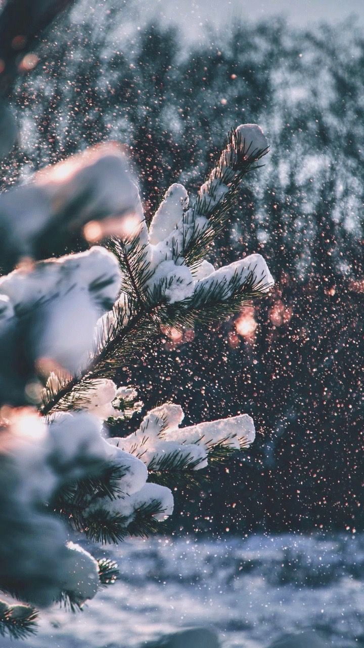 Photo. iPhone wallpaper winter, Winter wallpaper, Wallpaper iphone christmas