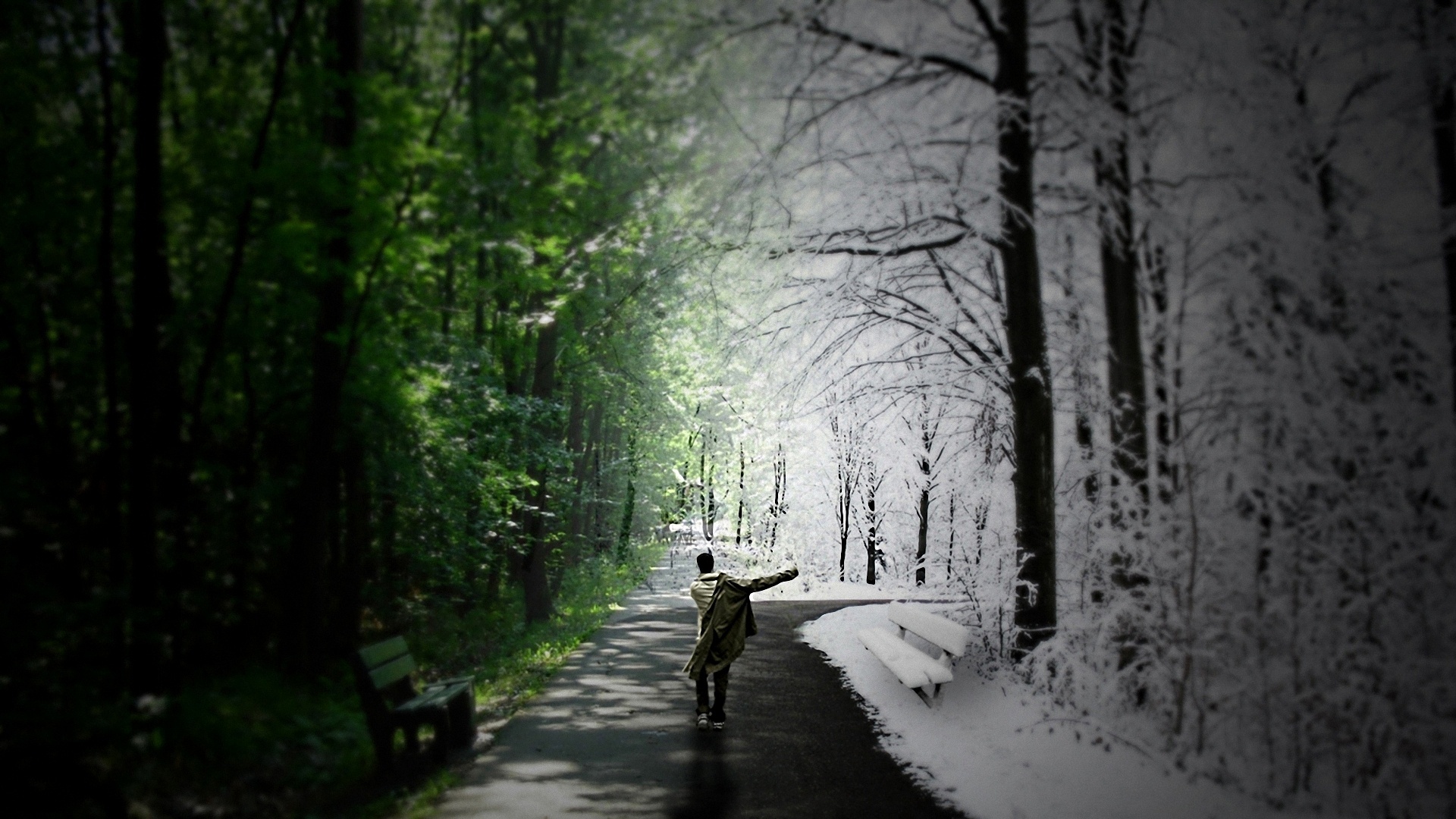 Mobile wallpaper: Winter, Forest, Path, Spring, Photography, Psychedelic, Season, Cgi, Manipulation, 545200 download the picture for free