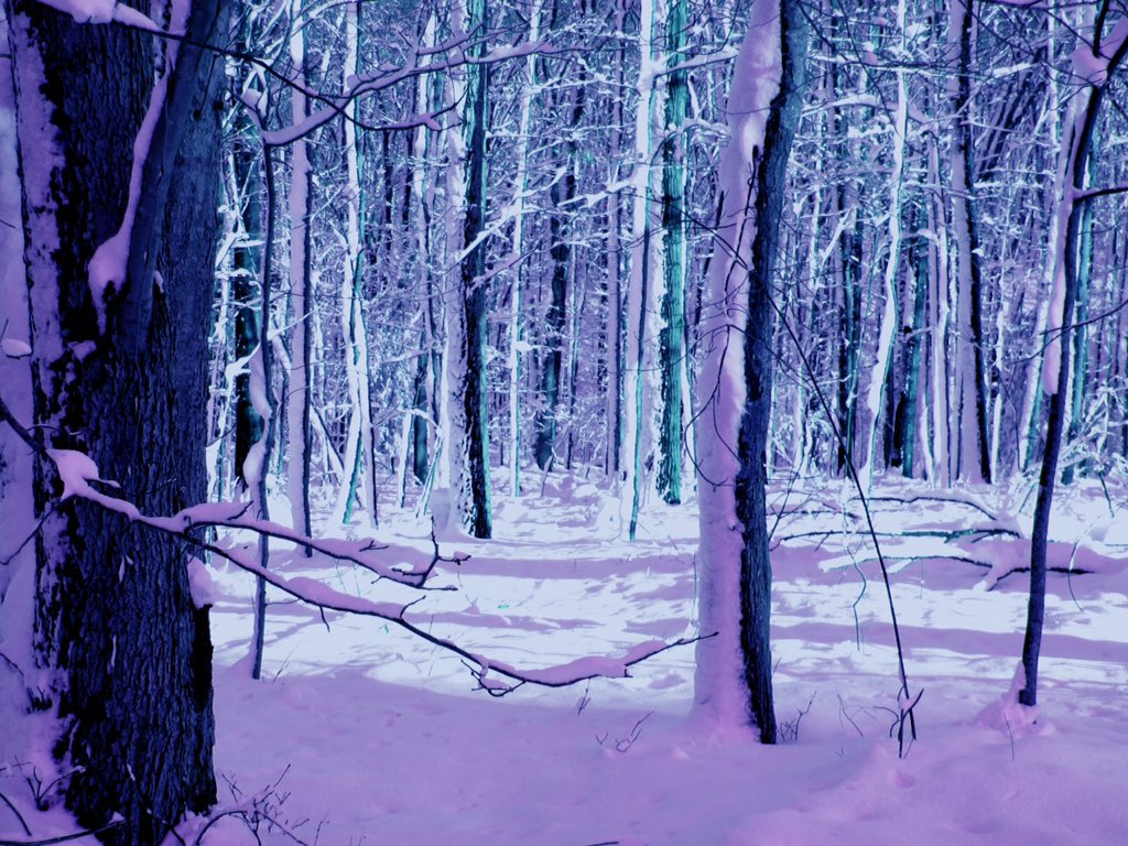 Axel Miazga Winter Wonderland PC: Me