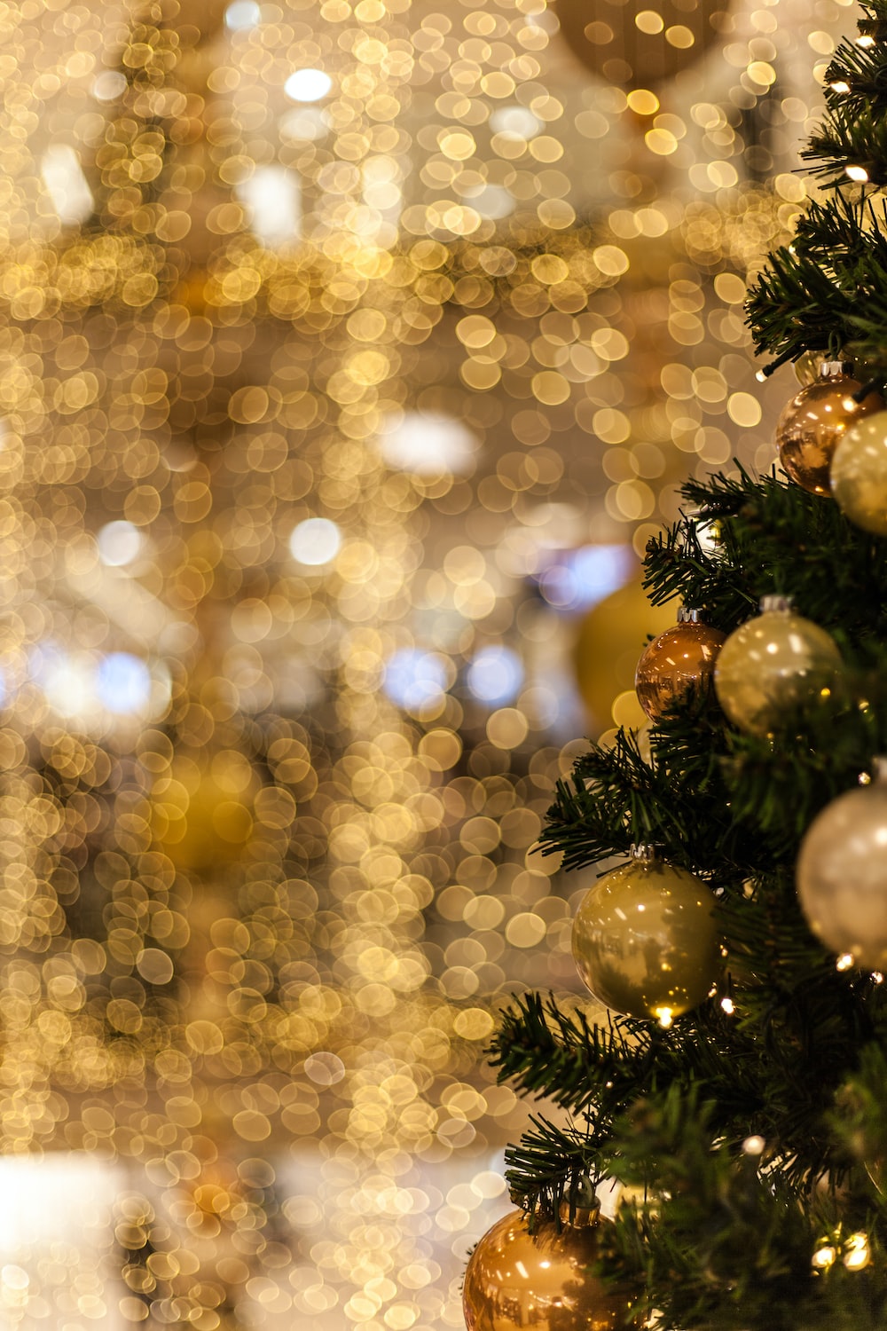 Gold Christmas Picture. Download Free Image