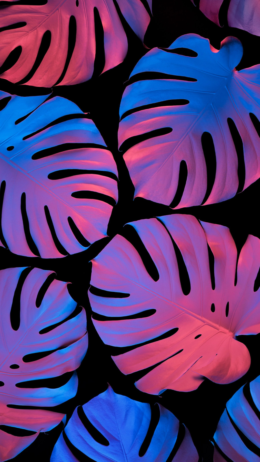 plant wallpaper