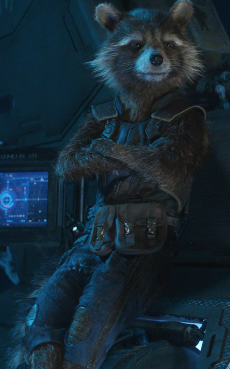 Rocket Raccoon In Avengers Infinity War Nexus 7, Samsung Galaxy Tab 10, Note Android Tablets , HD 4k Wallpaper, Image, Background, Photos and Picture