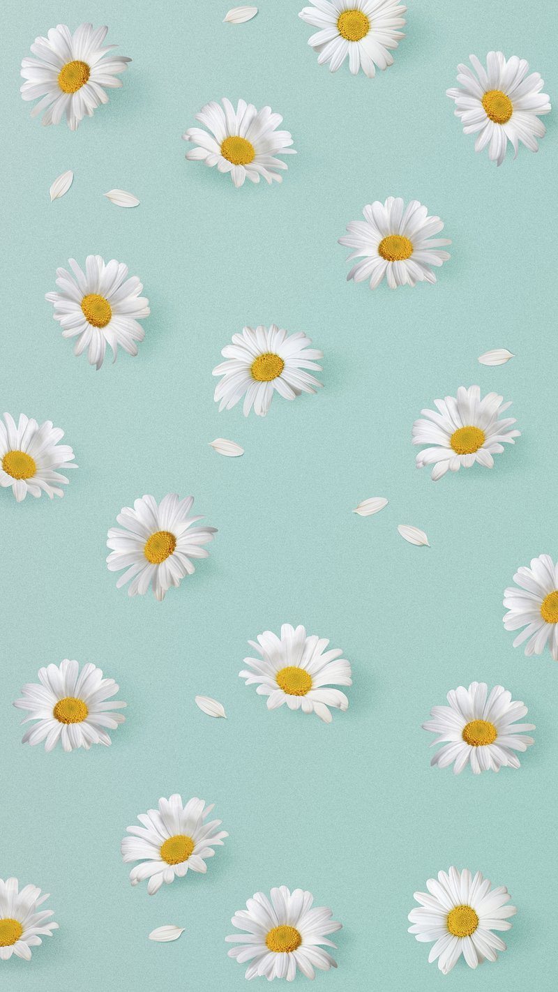 Flower field phone wallpaper, white. Premium Photo Illustration