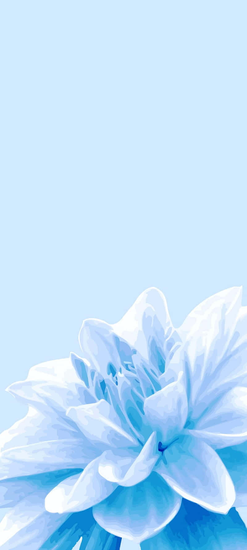 Blue Flower Wallpaper