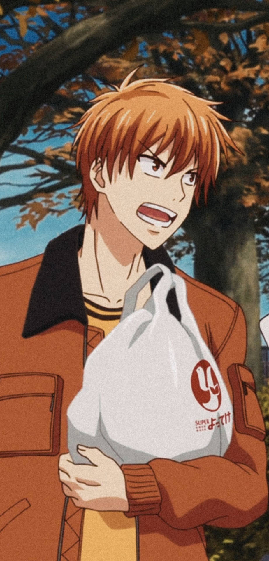 Download Yelling Kyo Fruits Basket 2019 Wallpaper