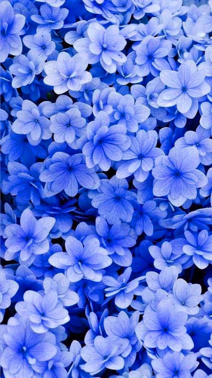 Blue Floral Wallpaper
