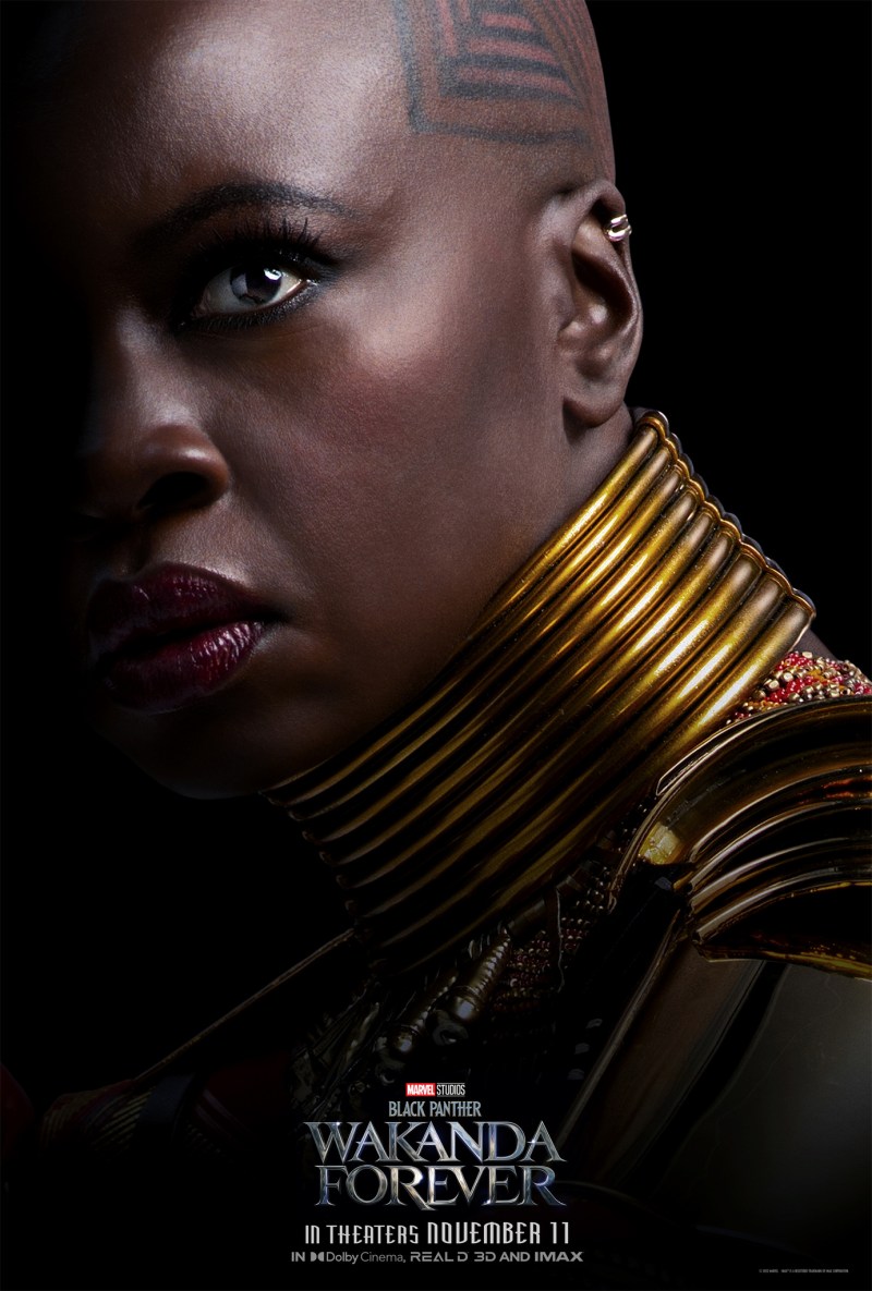 Black Panther, Wakanda Forever [PHOTOS]