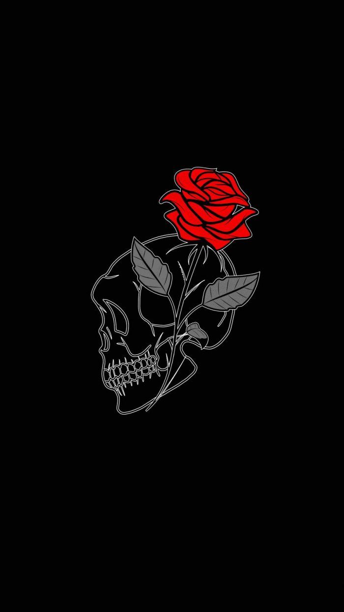 Rose Skull iPhone Wallpaper Wallpaper. iPhone wallpaper, Dark wallpaper iphone, Skull wallpaper