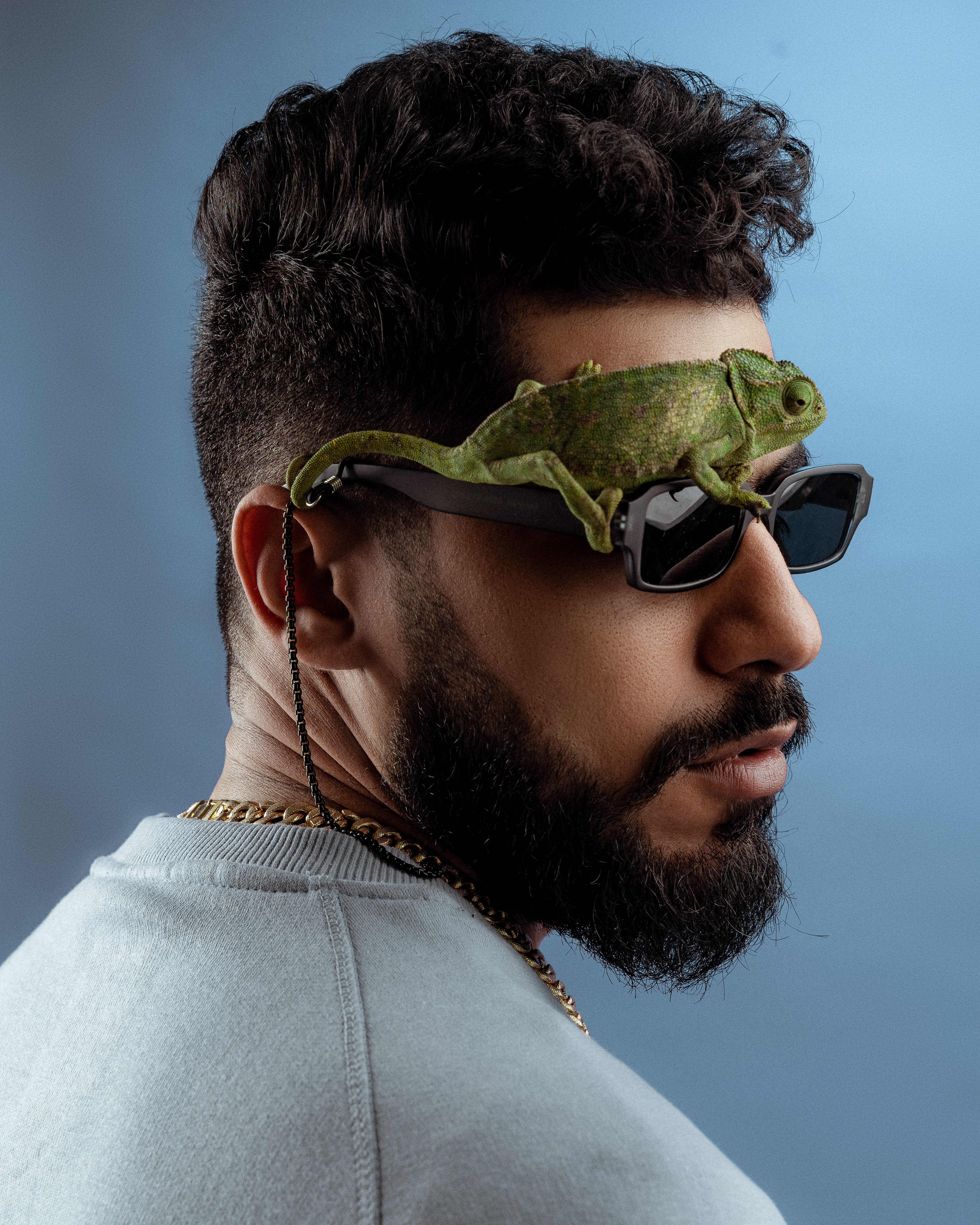 hamza rochdi Grande Totoéléon