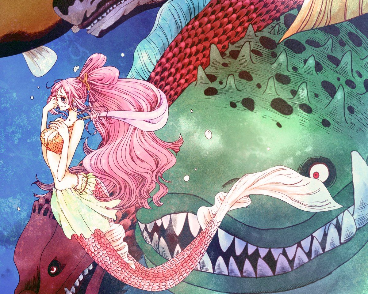 Shirahoshi Fishman Island One Piece. One piece fanart, One piece anime, Anime