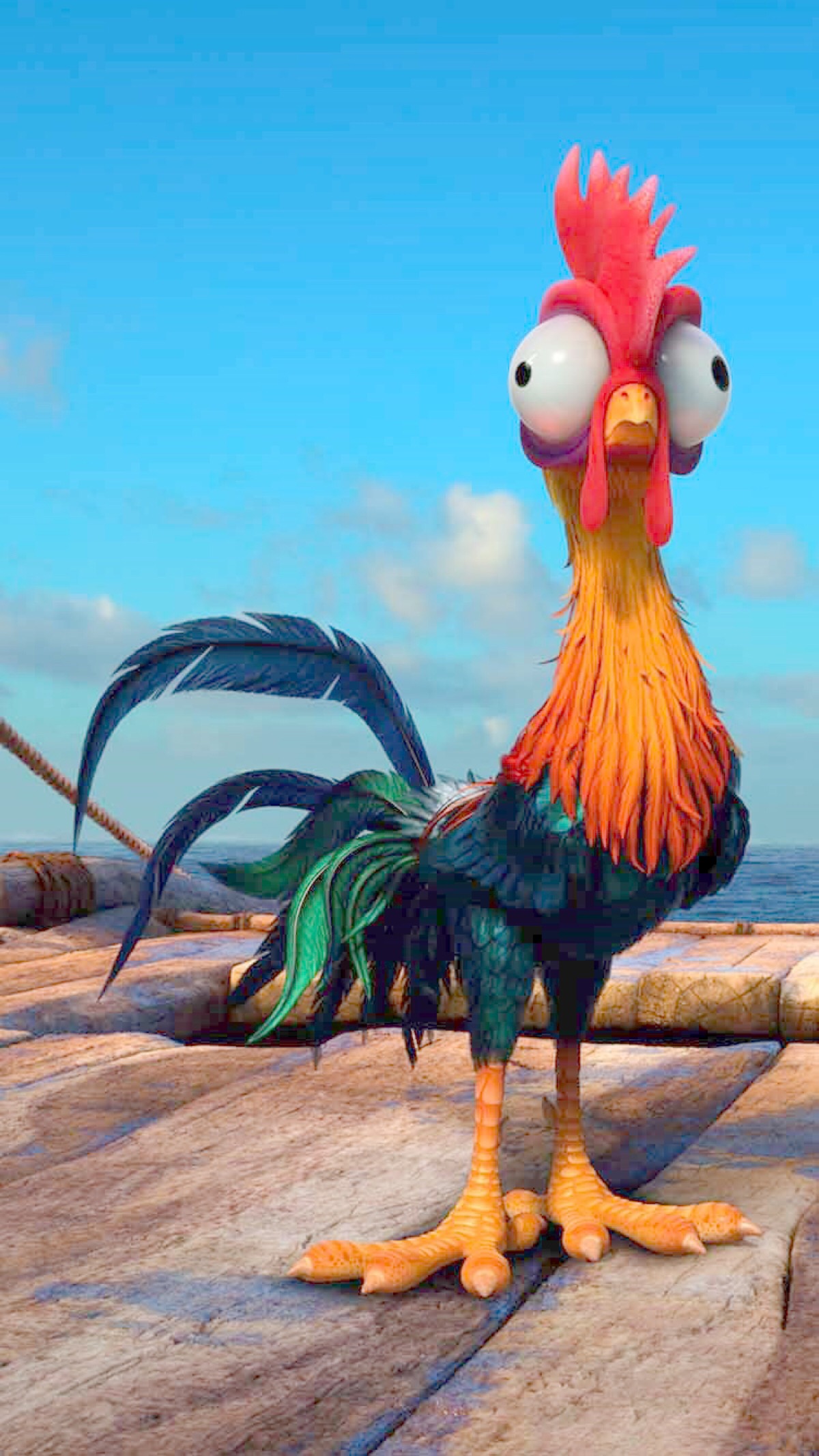 רעיונות של Hei Hei